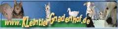 Banner 240 x 60