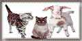 Gnadenhof Banner 120 x 60