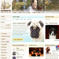 Stadthunde